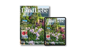 Schweizer LandLiebe