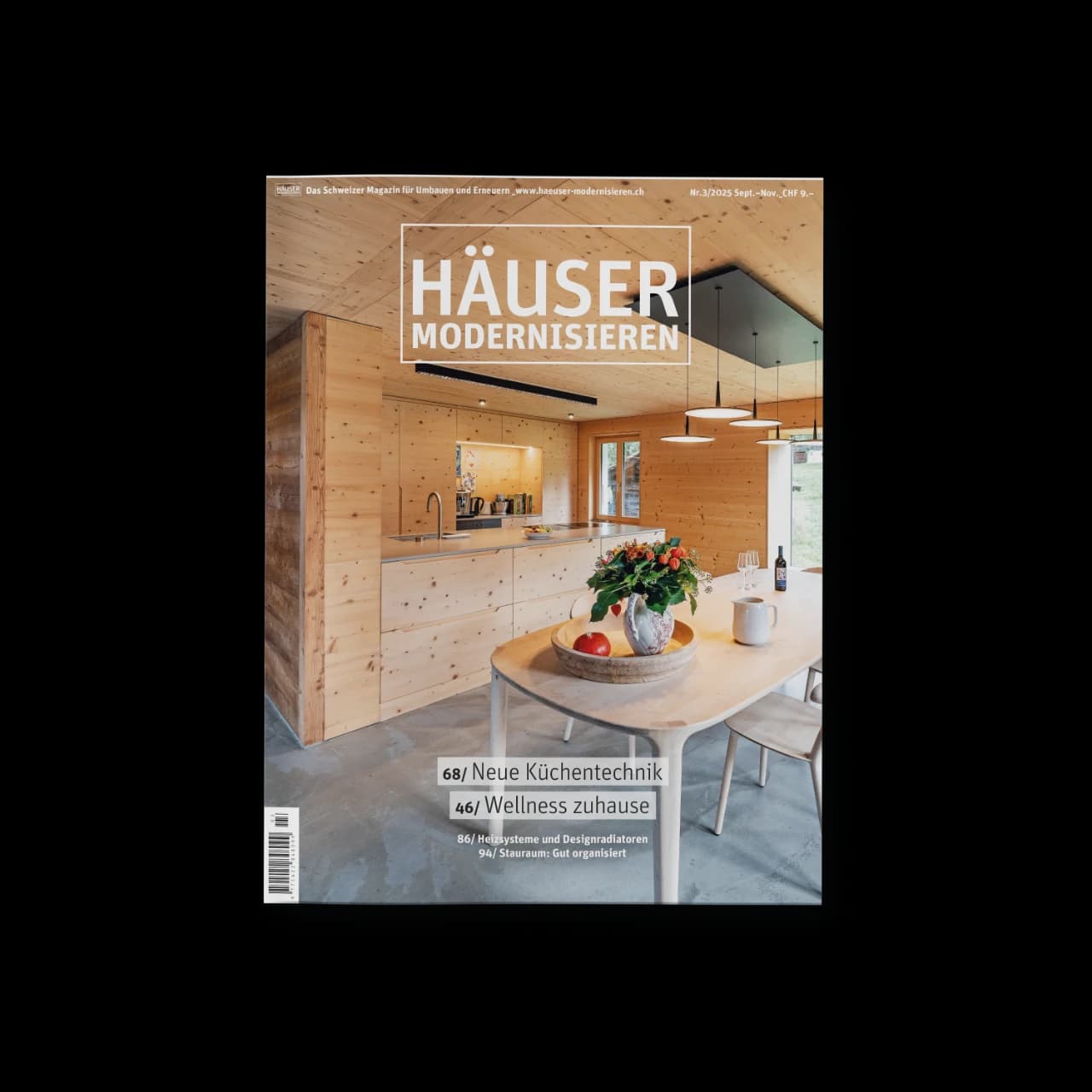 HÄUSER MODERNISIEREN